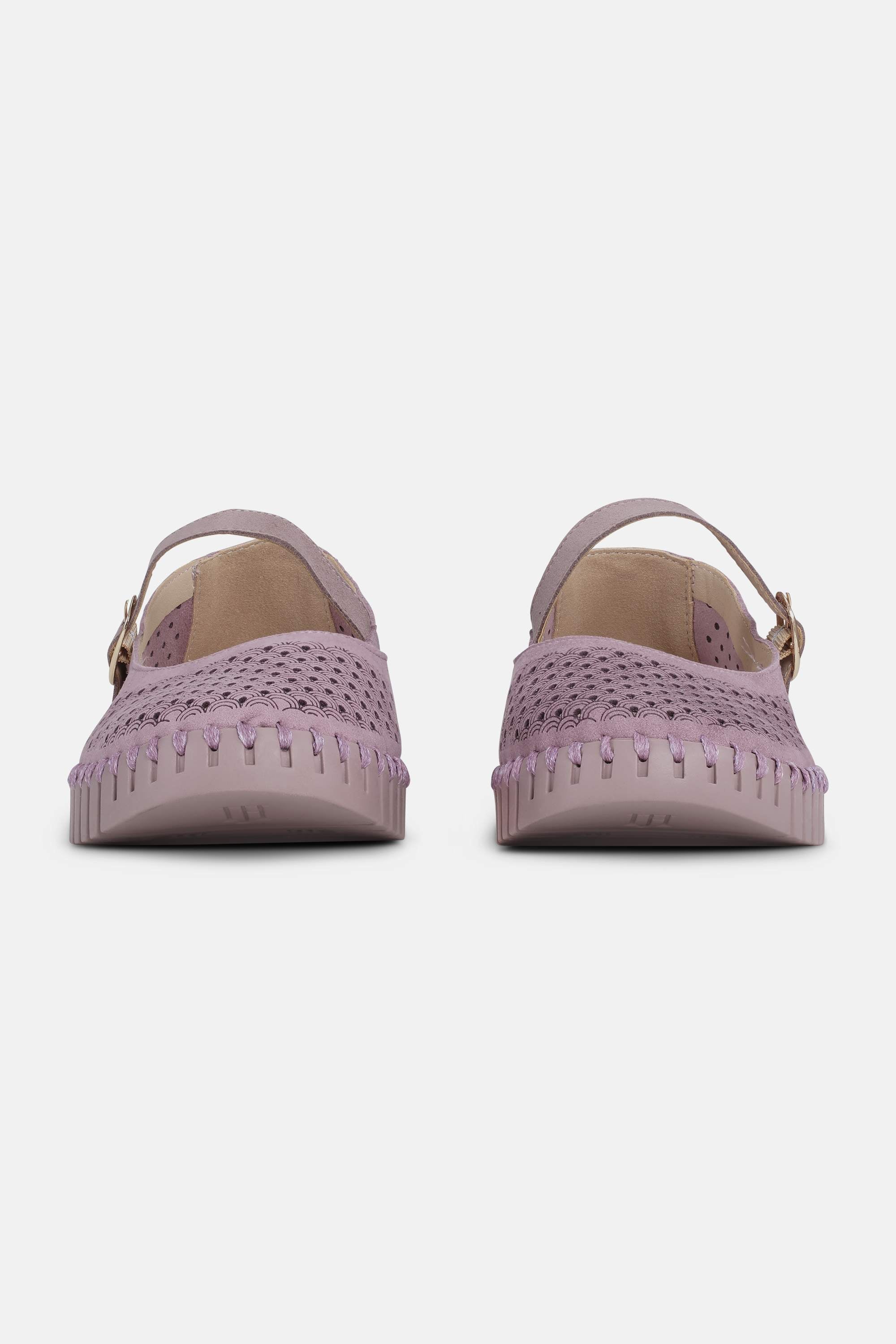 Tulip Ballerina - Mauve Shadows Zink